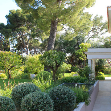 Architecte Paysagiste Cap Ferrat | Composition méditerranéenne majestueuse