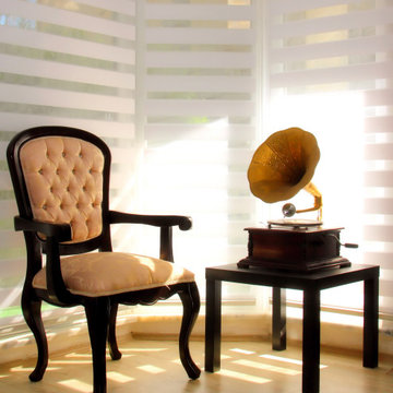 Springblinds Premium Zebra Dual Sheer Shades