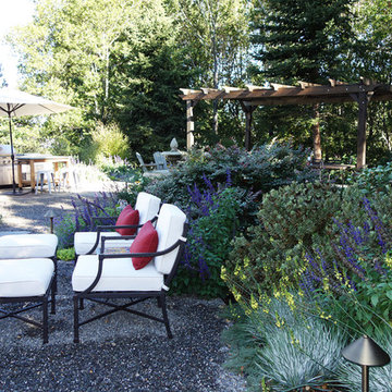 A Traditional Landscape Loses the Lawn & Overgrown Shrubs To Low-Water Plants