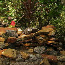 Landscape Ideas