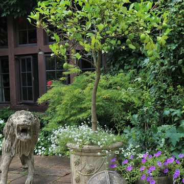 Beautiful Gardens and Accents