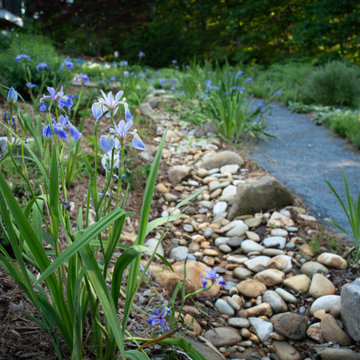 Backyard garden sanctuary