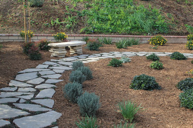 Design ideas for a mediterranean landscaping in Los Angeles.