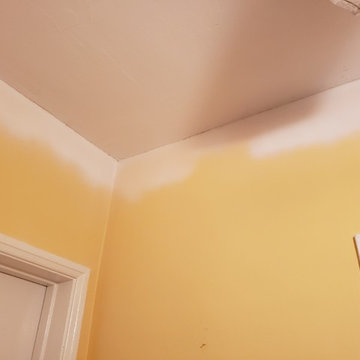 Wilikie Re texture and skim coat
