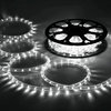 DELight 150' 2-Wire LED Rope Light Holiday Decor Indoor/Outdoor, Cool White