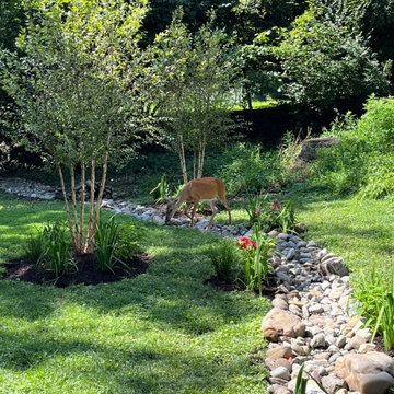 Rejuvenated Walkway and Driveway in Takoma Park Maryland