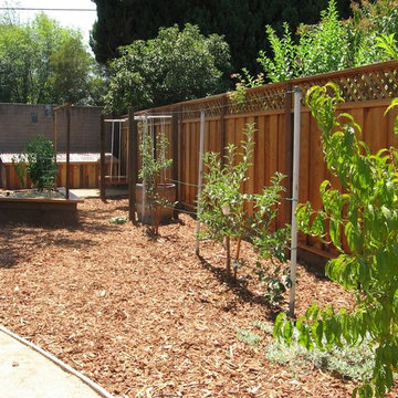 Lawn Replacement Edible Landscape
