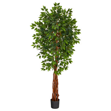6.5' Super Deluxe Ficus Artificial Tree With Natural Trunk