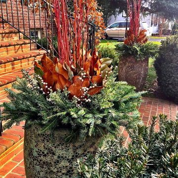 Winter Container Garden Design