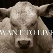 Aeli Vegane's photo