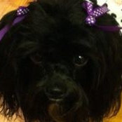 Lillian Nosbisch's photo