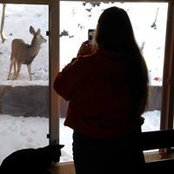 Vicki Frydrych's photo
