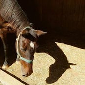 Kelly Koontz's photo