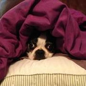 Pamela DeRoy's photo