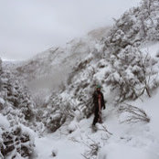 James Whitehill's photo