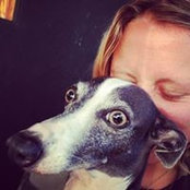Sophie Cole's photo