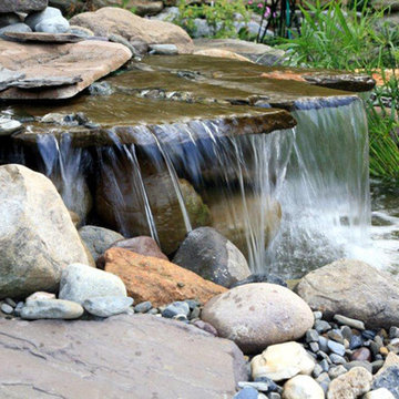 Landscape Design & Build