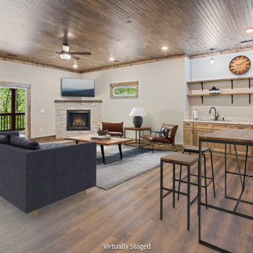 Basement Living Space