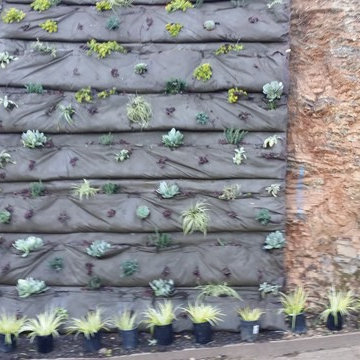 Landscape Design & Installation