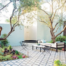 Side Yard
