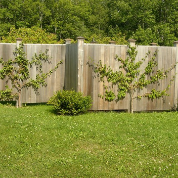 Ducktrap Garden & Wildflower Meadow