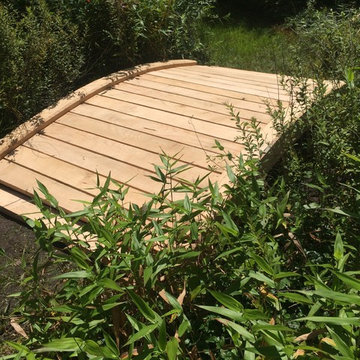Specialty Bridges