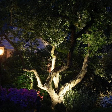 Landscape Lighting