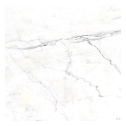 Marble Calacatta Classico Slab - Products