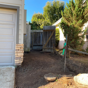 Point Loma Front Yard