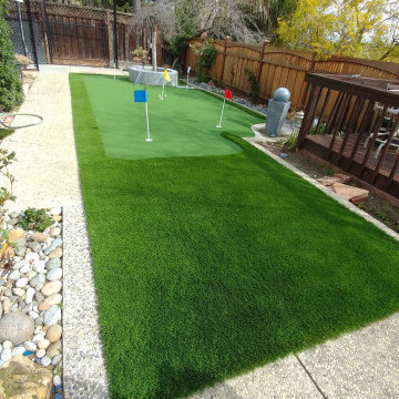 Emerald Putting Green with Bluegrass Supreme Fringe