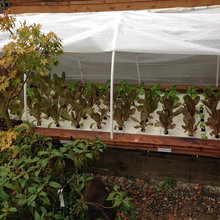 New Season Farms