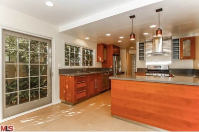 Trendy kitchen photo in Los Angeles