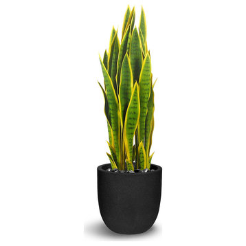 Faux Botanical Green and Yellow Sansevieria 35"H