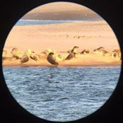 Janine Beck's photo