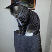 Angela Roher's photo