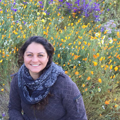 Pachamama Inspired, LLC