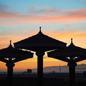 Anne Hagar's photo