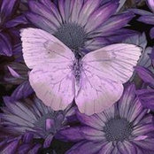 Linda Smith's photo