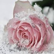 Tawnya Dahl's photo