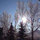 dee_green7789041