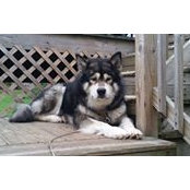 Joyce Marks's photo