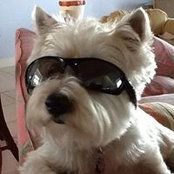 Foto de Debbie Devoy