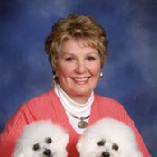 Cindy Morrissey's photo
