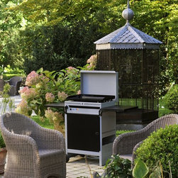 Le feu d&eacute;voile son &eacute;l&eacute;gance &eacute;t&eacute; comme hiver... - Outdoor Cooking