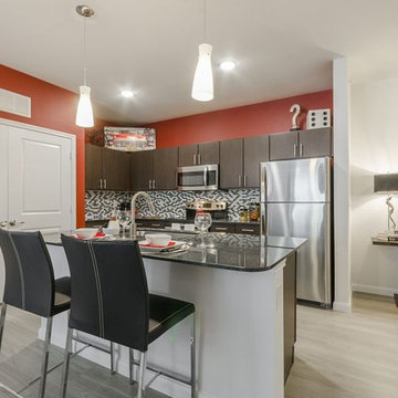 San Antonio, TX Contemporary Apartment Home