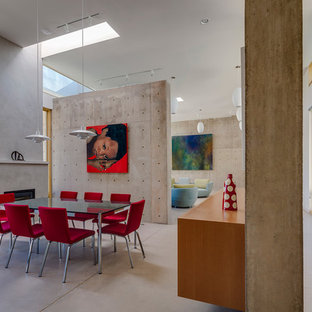 アルバカーキのモダンスタイルのLDKの画像 (グレーの壁、コンクリートの床、標準型暖炉)