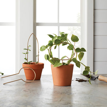 Spring Garden Collection - Hearth & Hand™ with Magnolia
