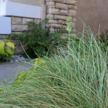Front Yard Inspiration: Low Maintenance Design Ideas