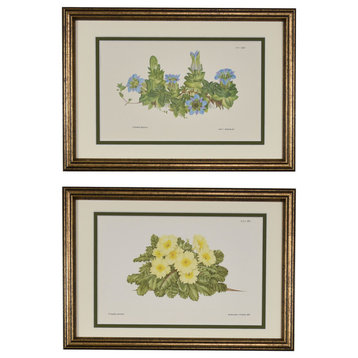 Original Vintage English Botanical Prints, Framed, Set of 2