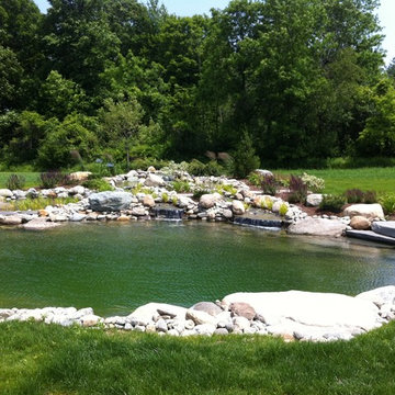 Charlotte Natural Swimming Pond